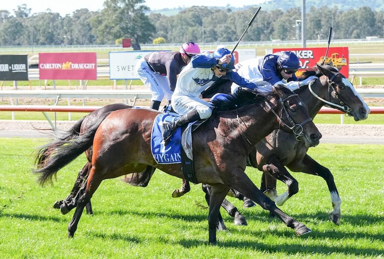 CLIFF RUNNER SURGES LATE